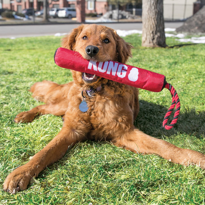 Pet Palette Distribution - KONG® Signature Stick w/Rope Dog Fetch Toy Medium