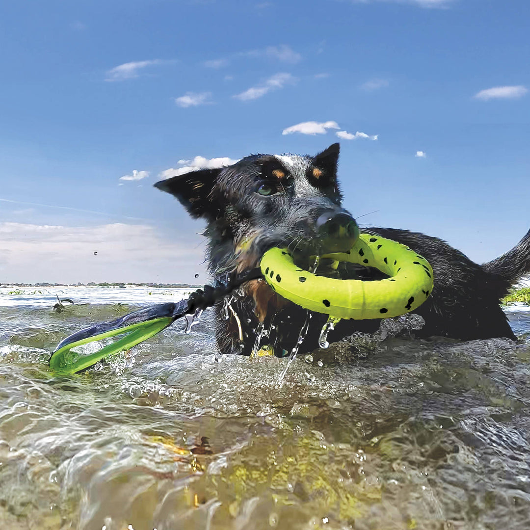 Pet Palette Distribution - KONG® Reflex Tug Toy