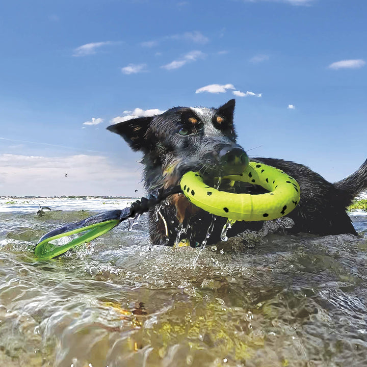 Pet Palette Distribution - KONG® Reflex Tug Toy