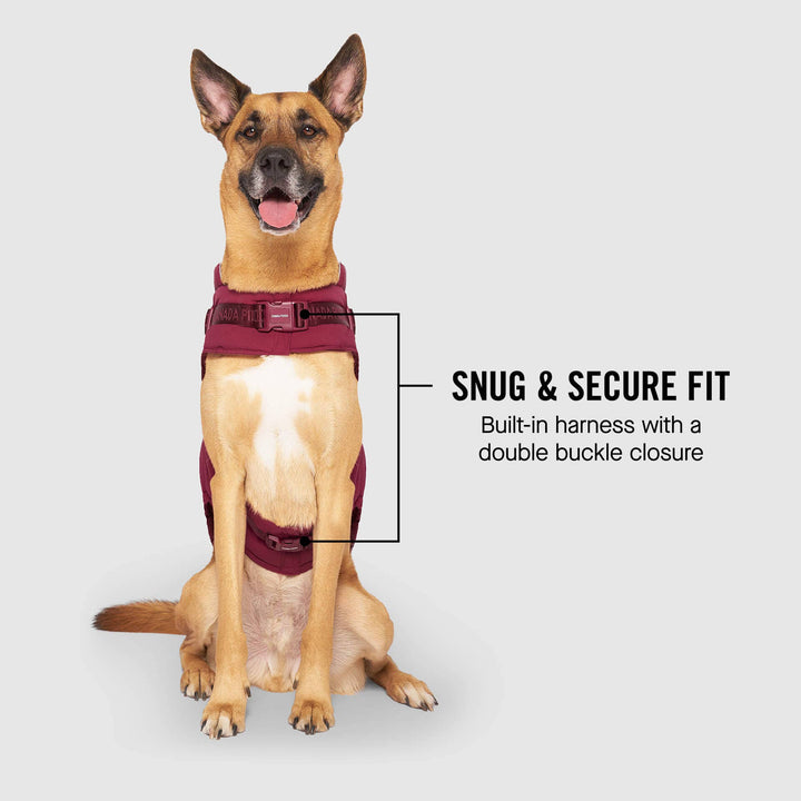 Canada Pooch - Harness Puffer Red