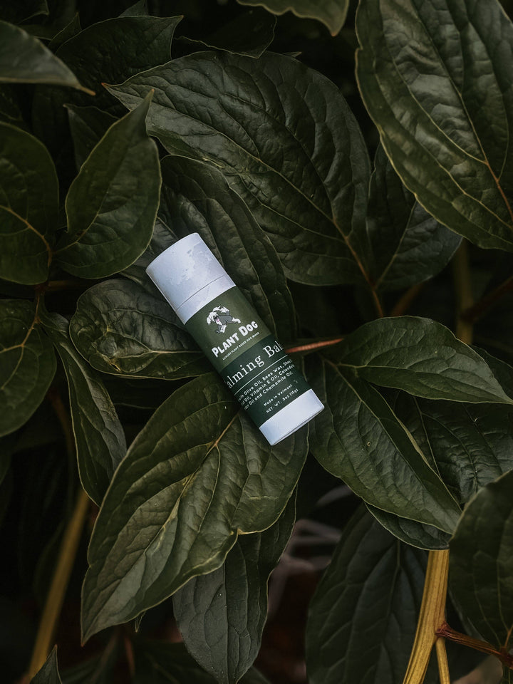 Plant Dog - Calming Paw Balm