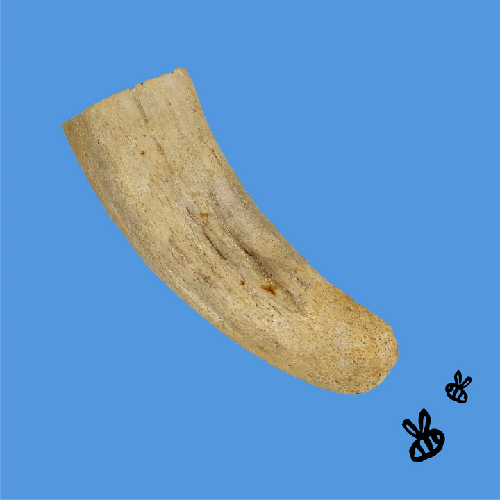 Honey I'm Home - Horn Core - Long-lasting Dog Chew