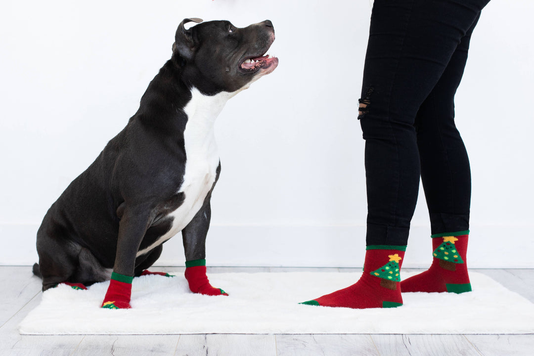Pet Palette Distribution - Pearhead Holiday Tree Human and Dog Sock Set 2pc
