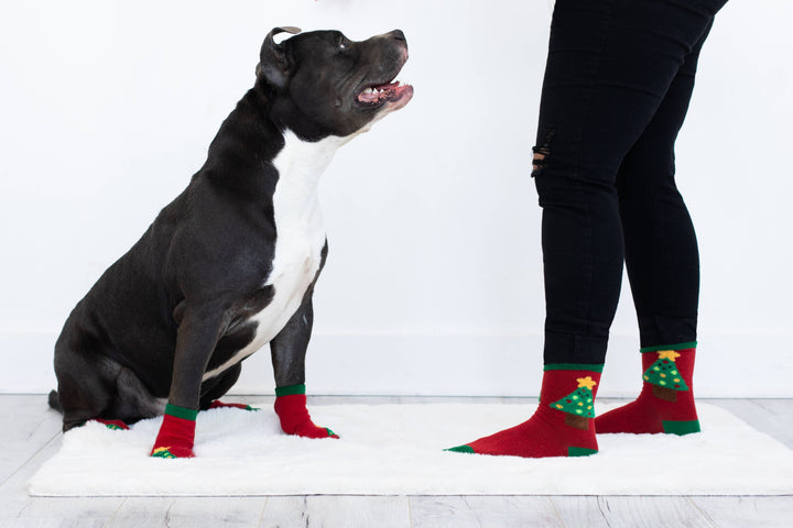 Pet Palette Distribution - Pearhead Holiday Tree Human and Dog Sock Set 2pc