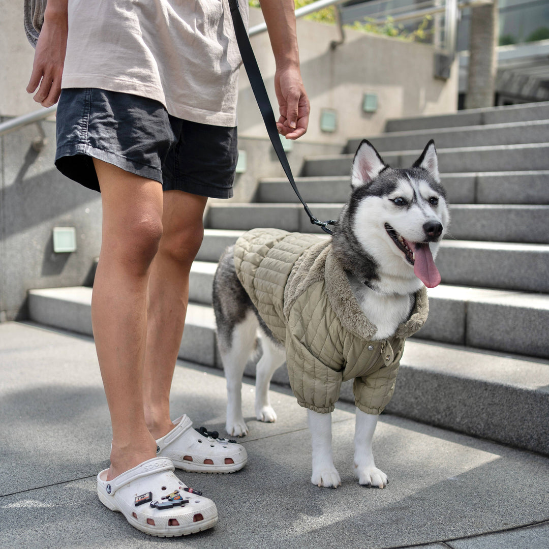 Lambwolf Collective - SOHO//DOG CLOTHING//APPAREL: Dunes / M
