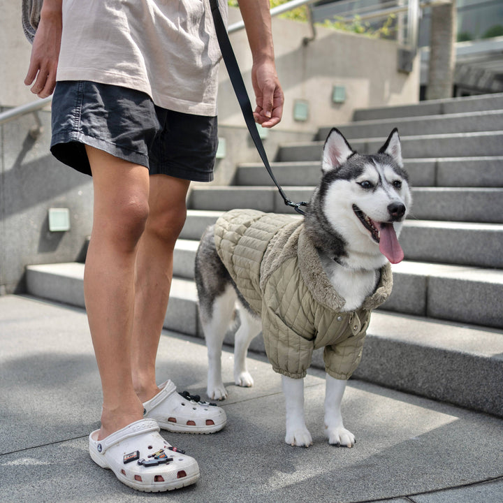 Lambwolf Collective - SOHO//DOG CLOTHING//APPAREL: Dunes / M