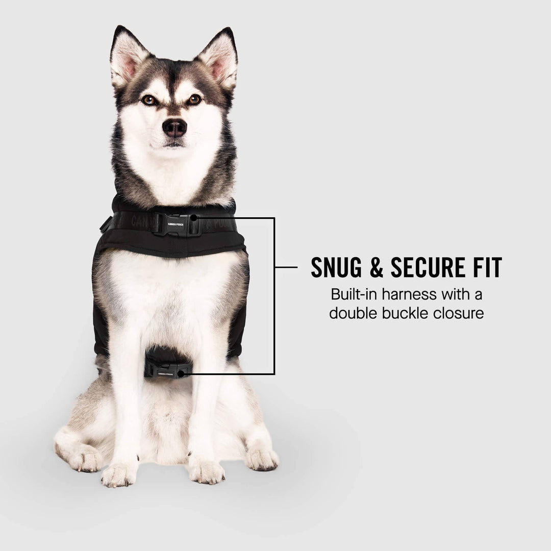 Canada Pooch - Harness Puffer Red