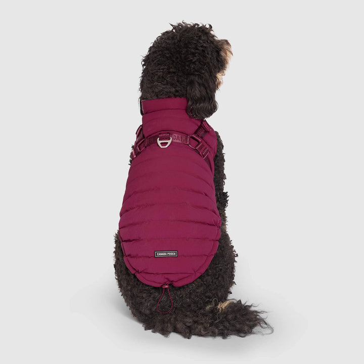 Canada Pooch - Harness Puffer Red
