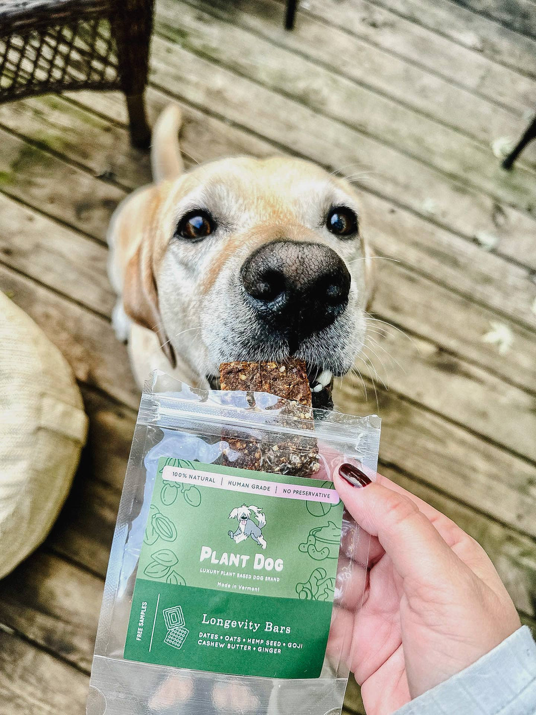 Plant Dog LLC - Longevity Bar Sample