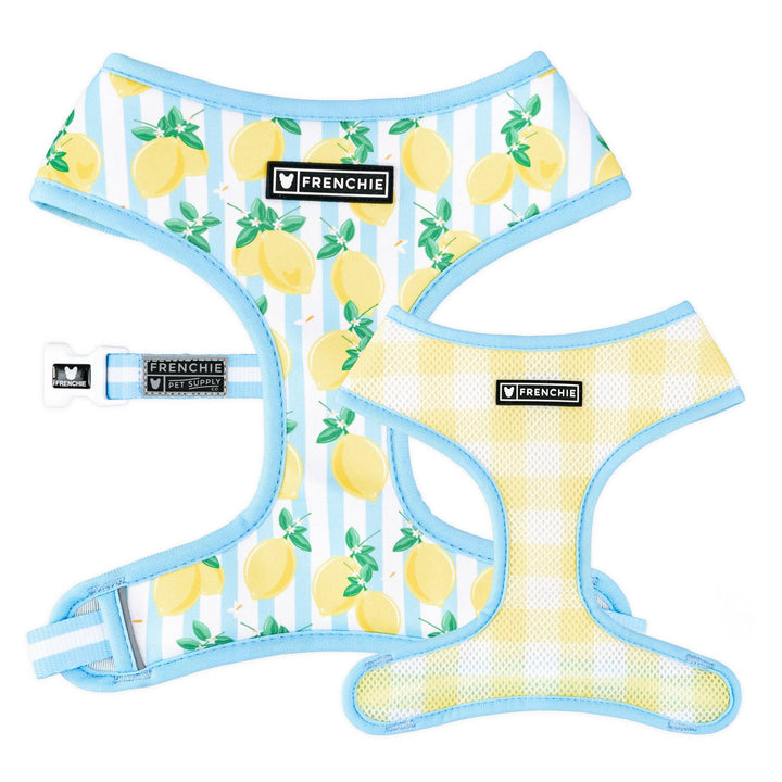 Frenchie - Frenchie Duo Reversible Harness - Lemon Tree: M