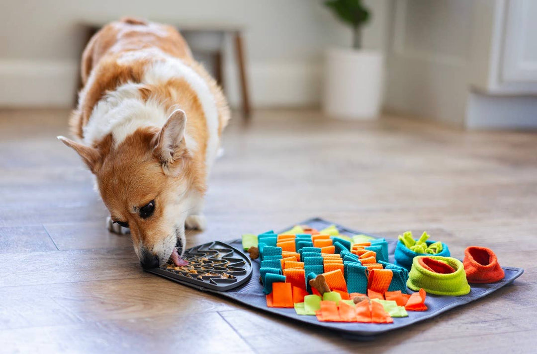 Pet Palette Distribution - Messy Mutts Square Forage/Snuffle Mat 16" with Suction