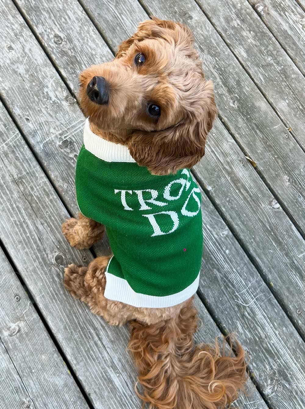 Good Thomas - Trophy Dog Sweater: Dog / L (29-40lb dog)
