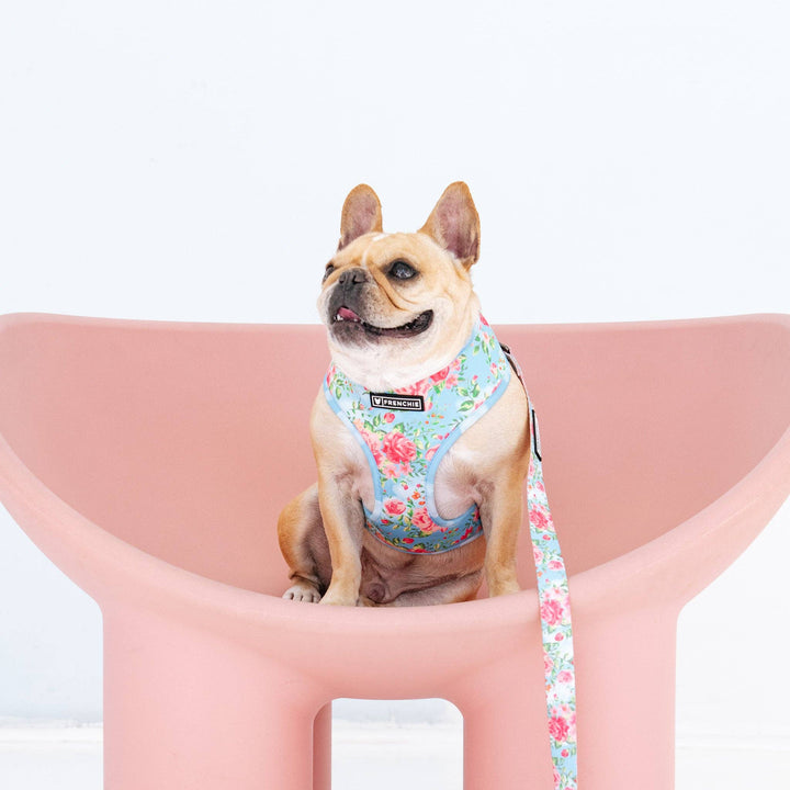 Frenchie - Frenchie Duo Reversible Harness - Secret Garden: XS