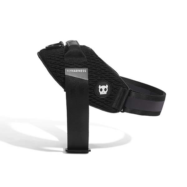 Zee.Dog - Gotham | FlyHarness: Size 4