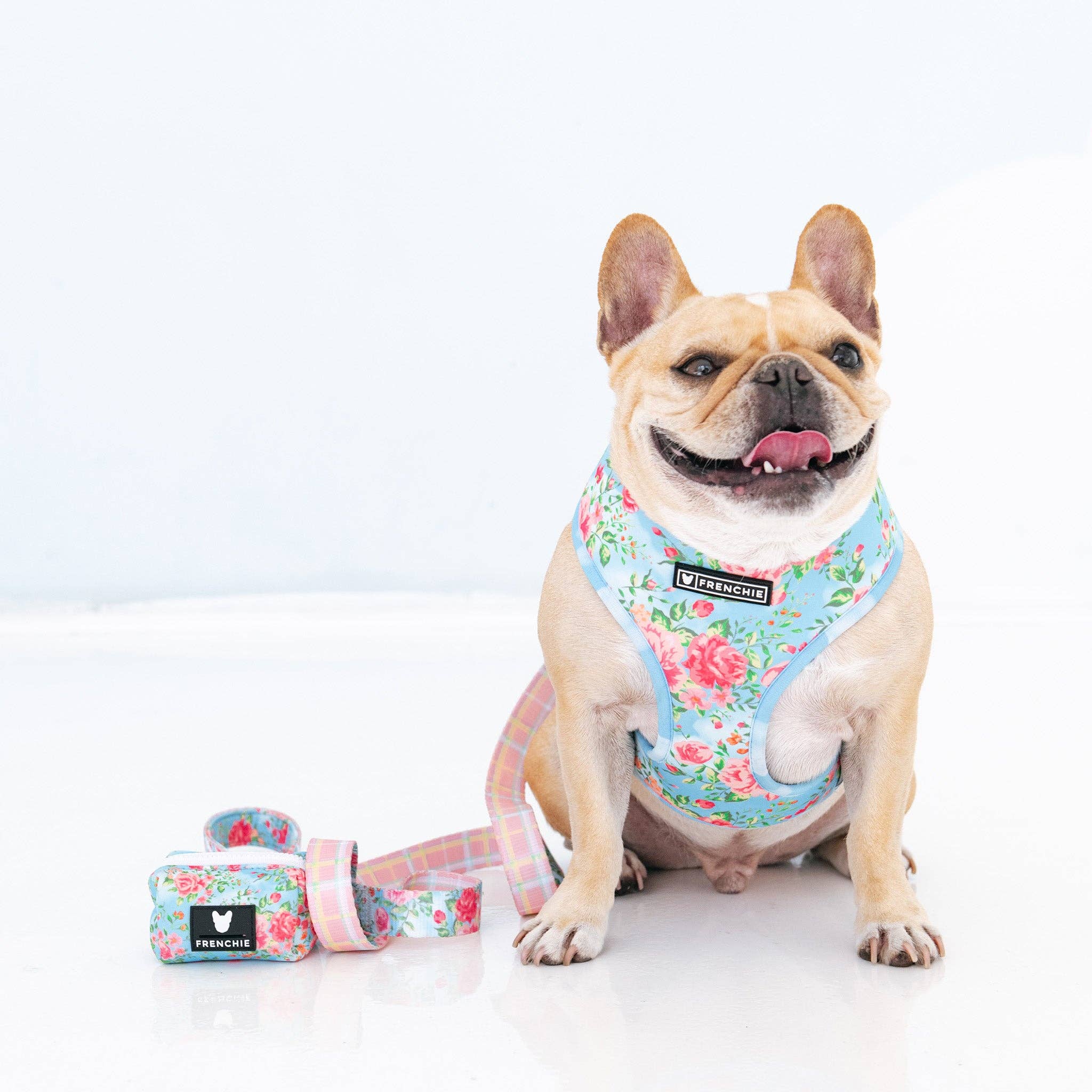 Frenchie duo reversible harness shop