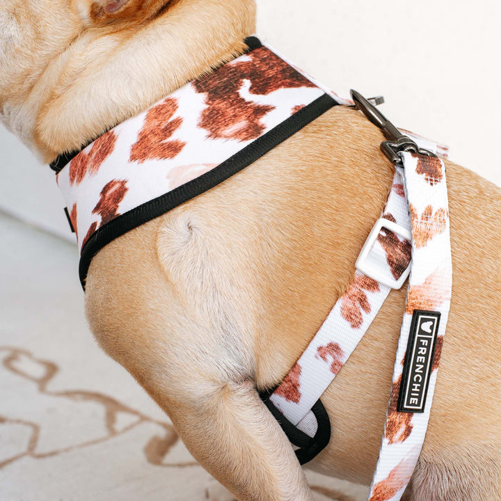Frenchie - Frenchie Duo Reversible Harness - Moo: M