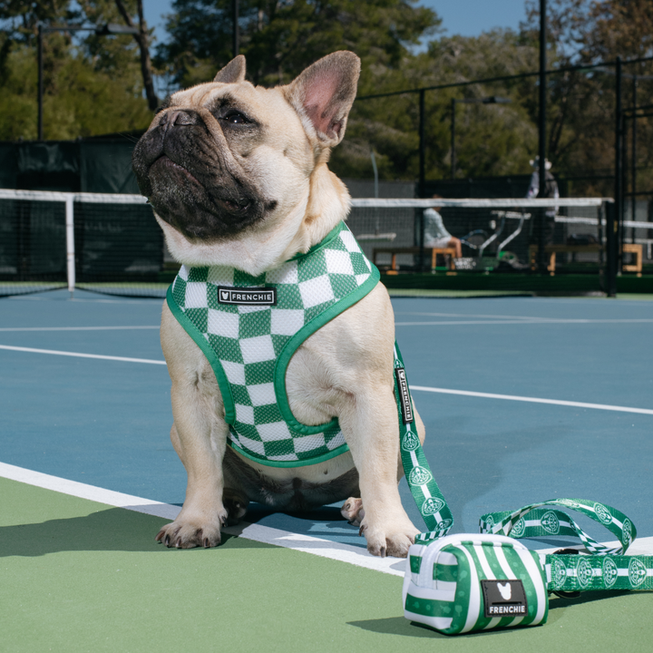 Frenchie - Frenchie Duo Reversible Harness - Pickleball: S