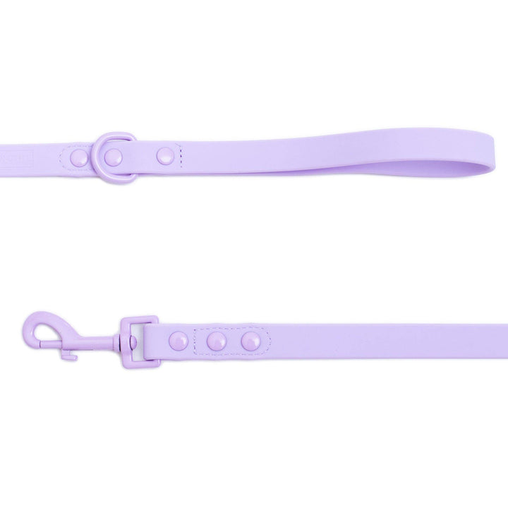 Frenchie - Frenchie Waterproof Leash - Violet: OS