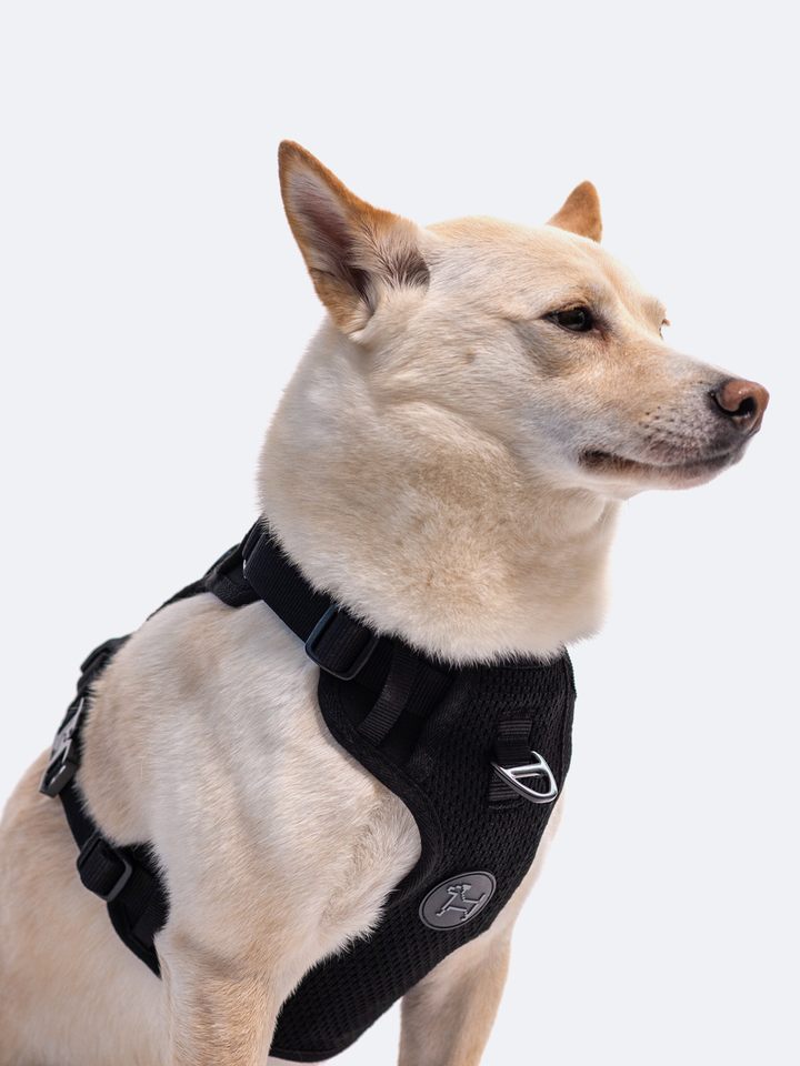 RIFRUF - Commuter Harness: Black / XS