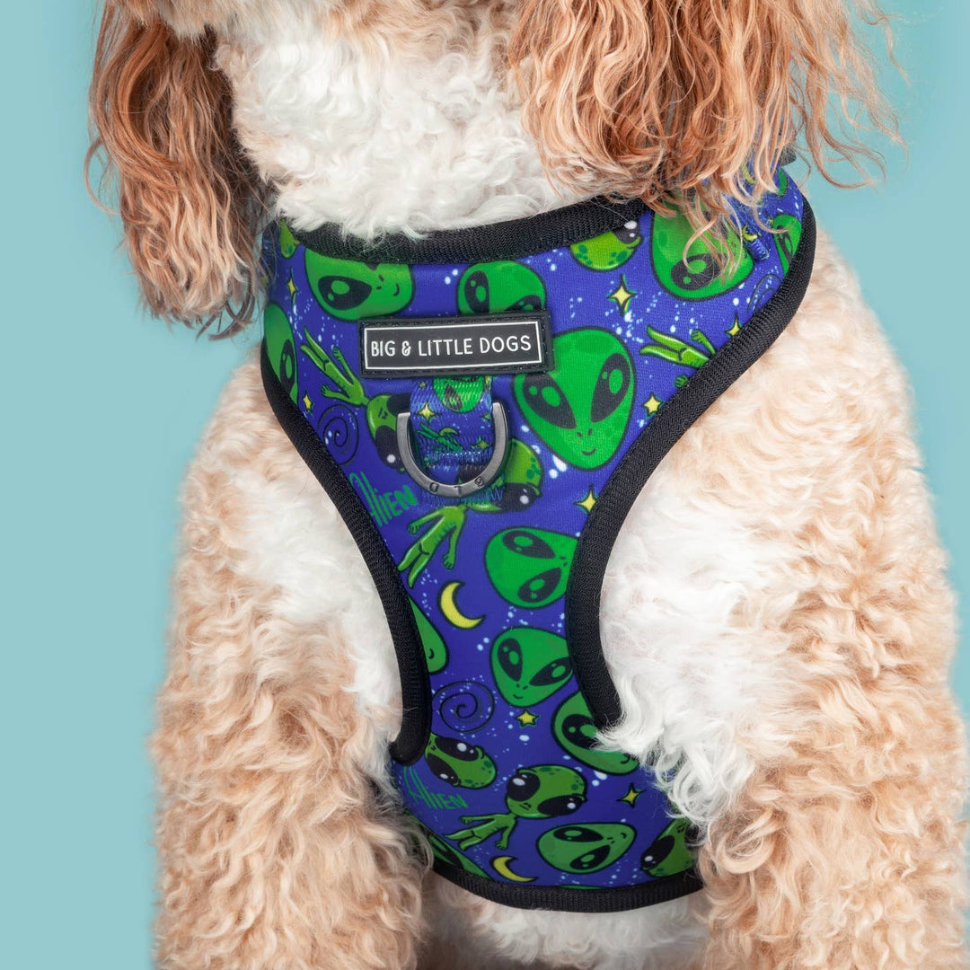 Big and Little Dogs - ADJUSTABLE DOG HARNESS: Alien Invasion