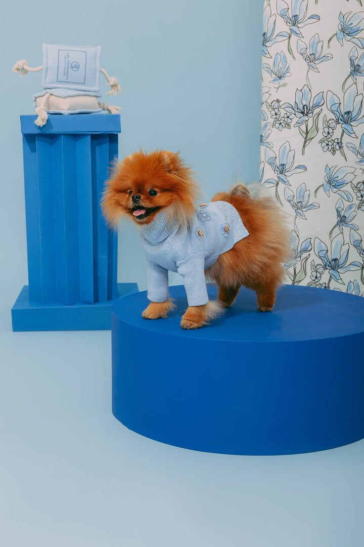 maxbone - Bridgerton x maxbone Jumper for Dogs: Large