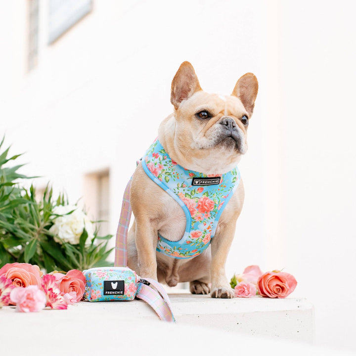 Frenchie - Frenchie Duo Reversible Harness - Secret Garden: XS