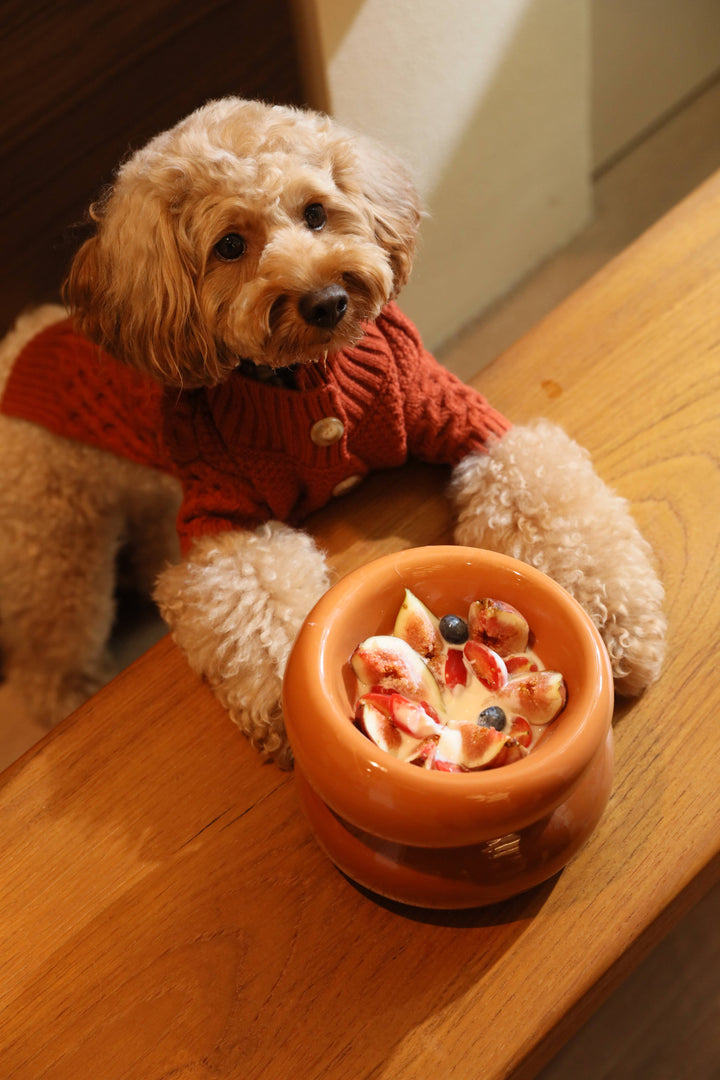 PEHOM - Soufflé Pet Bowl - Amber Orange