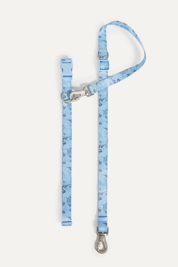 maxbone - Bridgerton x maxbone Walk Set for Dogs: Small