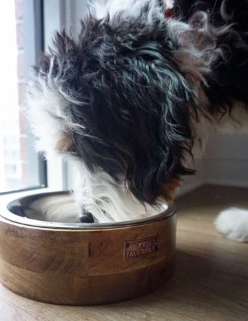 Tall Tails Wood Designer Bowl