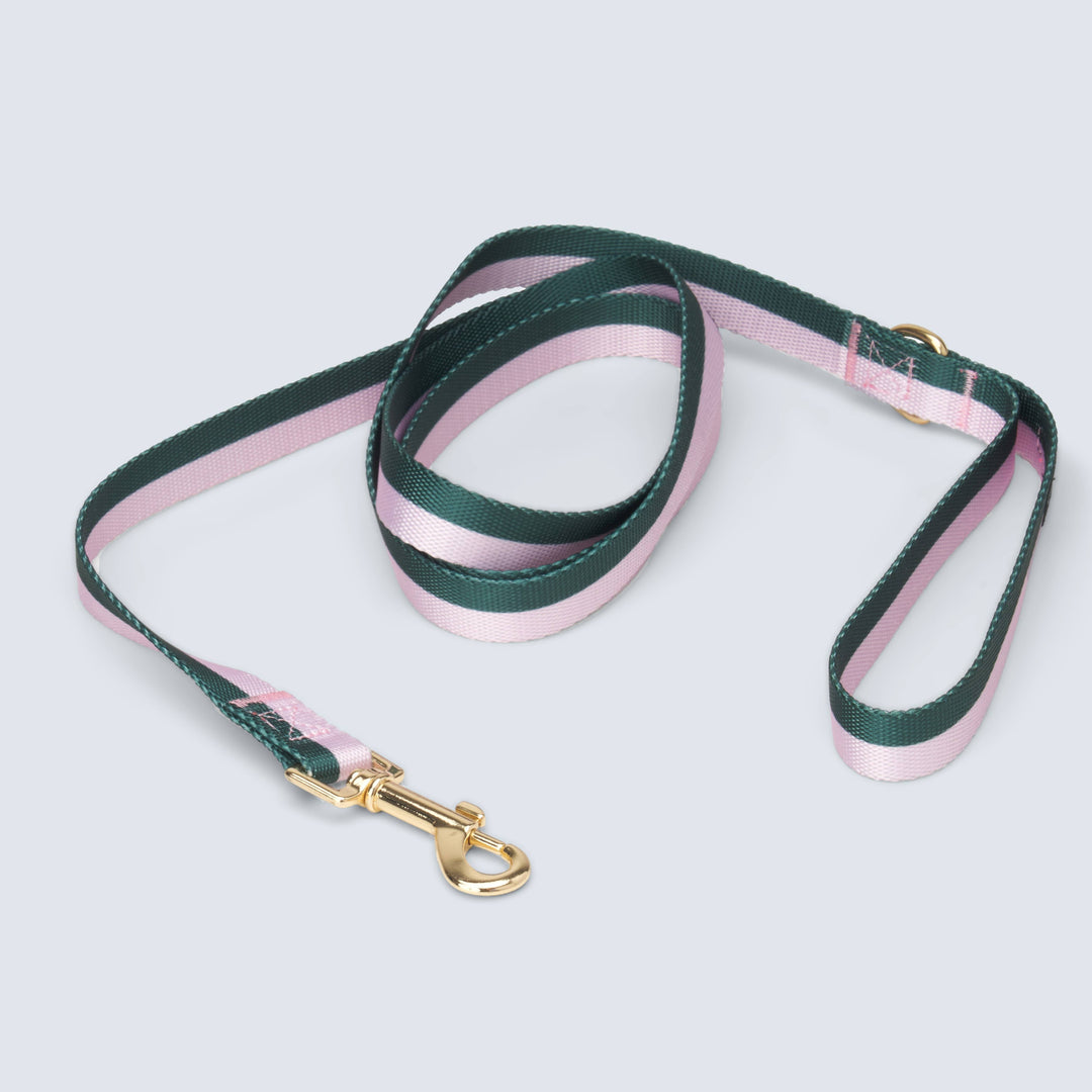 Boulevard - Stripe Dog Leash