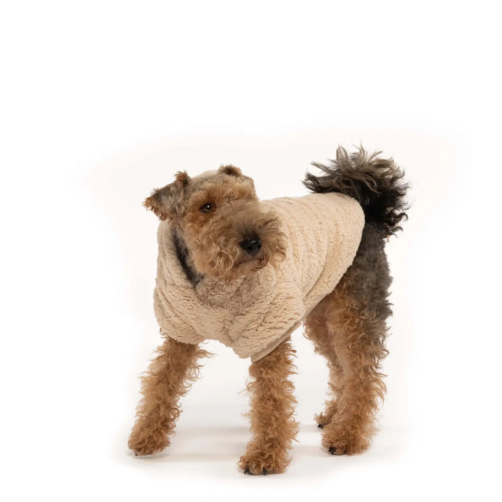 Fab Dog - Cream Sherpa Hoodie