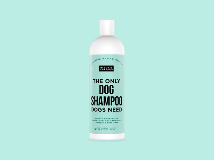 Natural Rapport - The Only Dog Shampoo Dogs Need