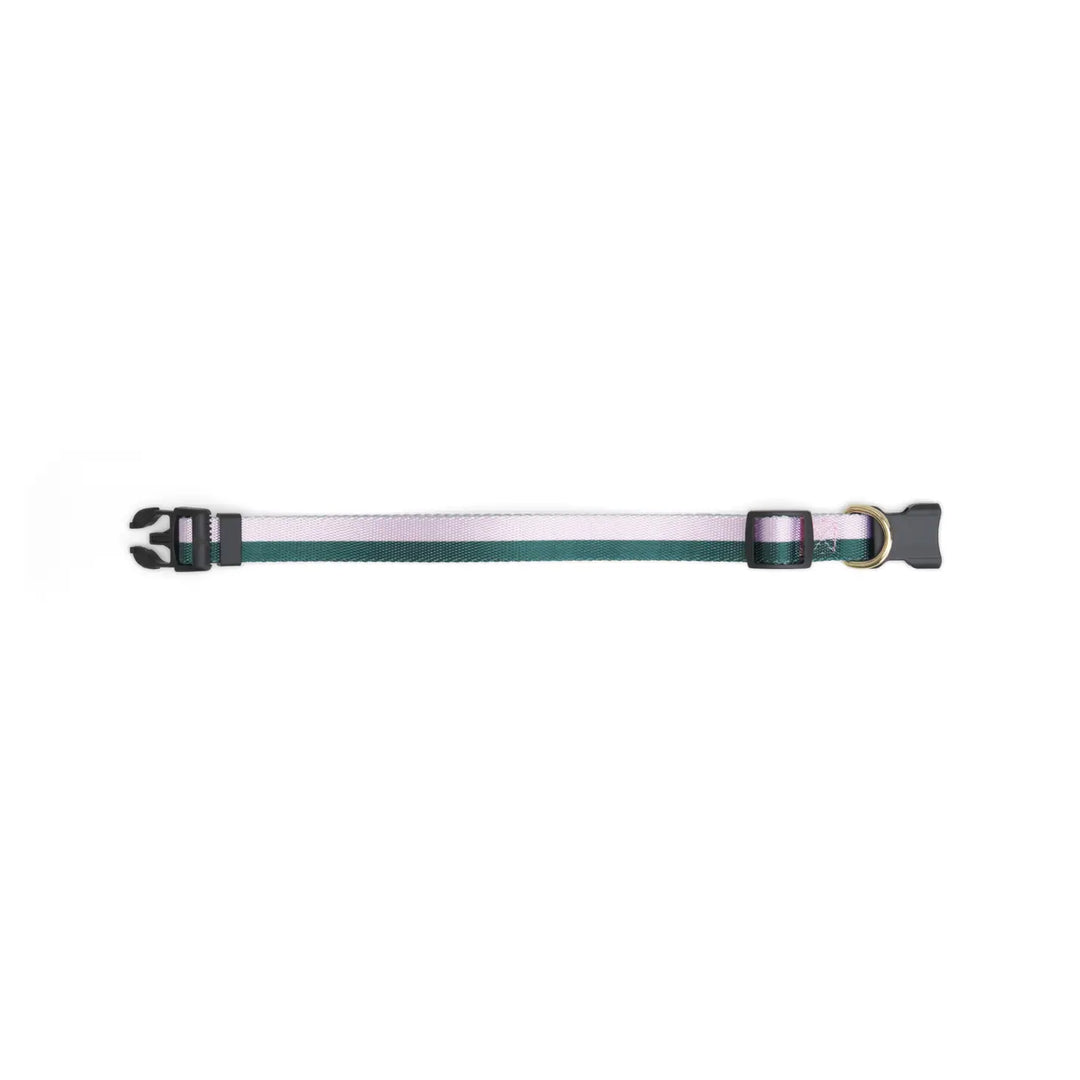 Boulevard - Stripe Dog Collar