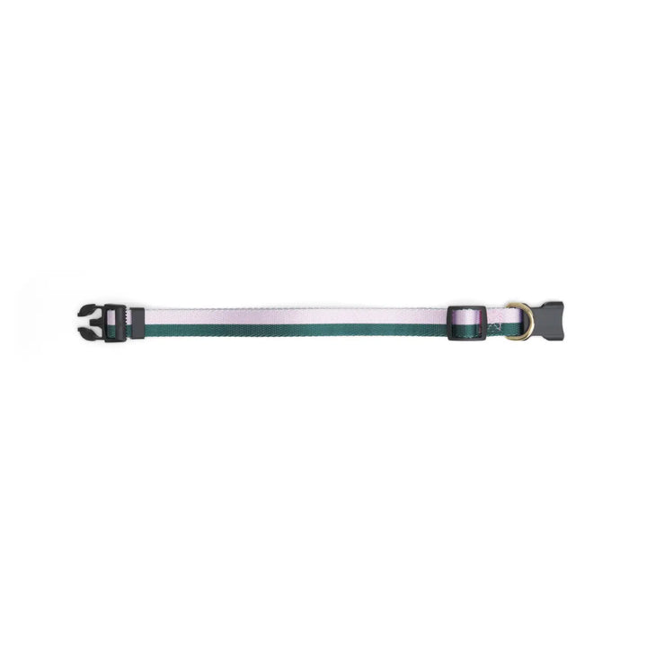 Boulevard - Stripe Dog Collar