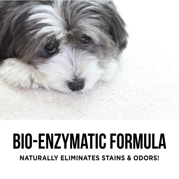Natural Rapport - The Only Pet Stain & Odor Remover You Need