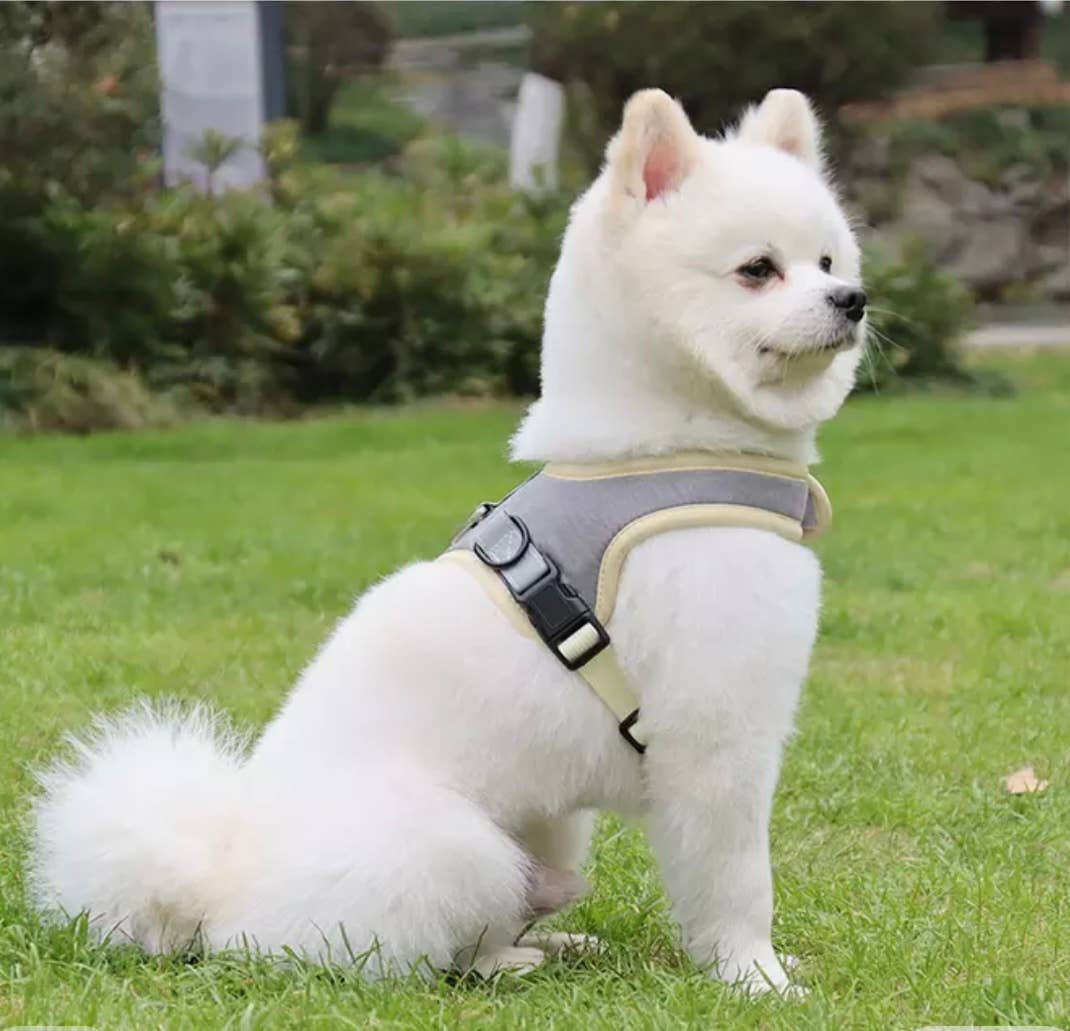 Frau Schnau - Dog Harness
