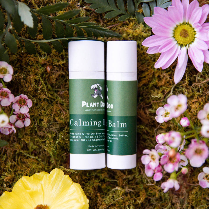 Plant Dog - Calming Paw Balm