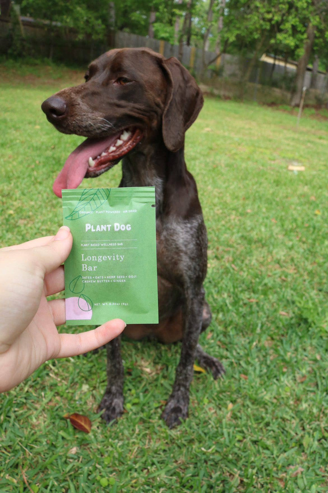 Plant Dog LLC - Longevity Bar Sample