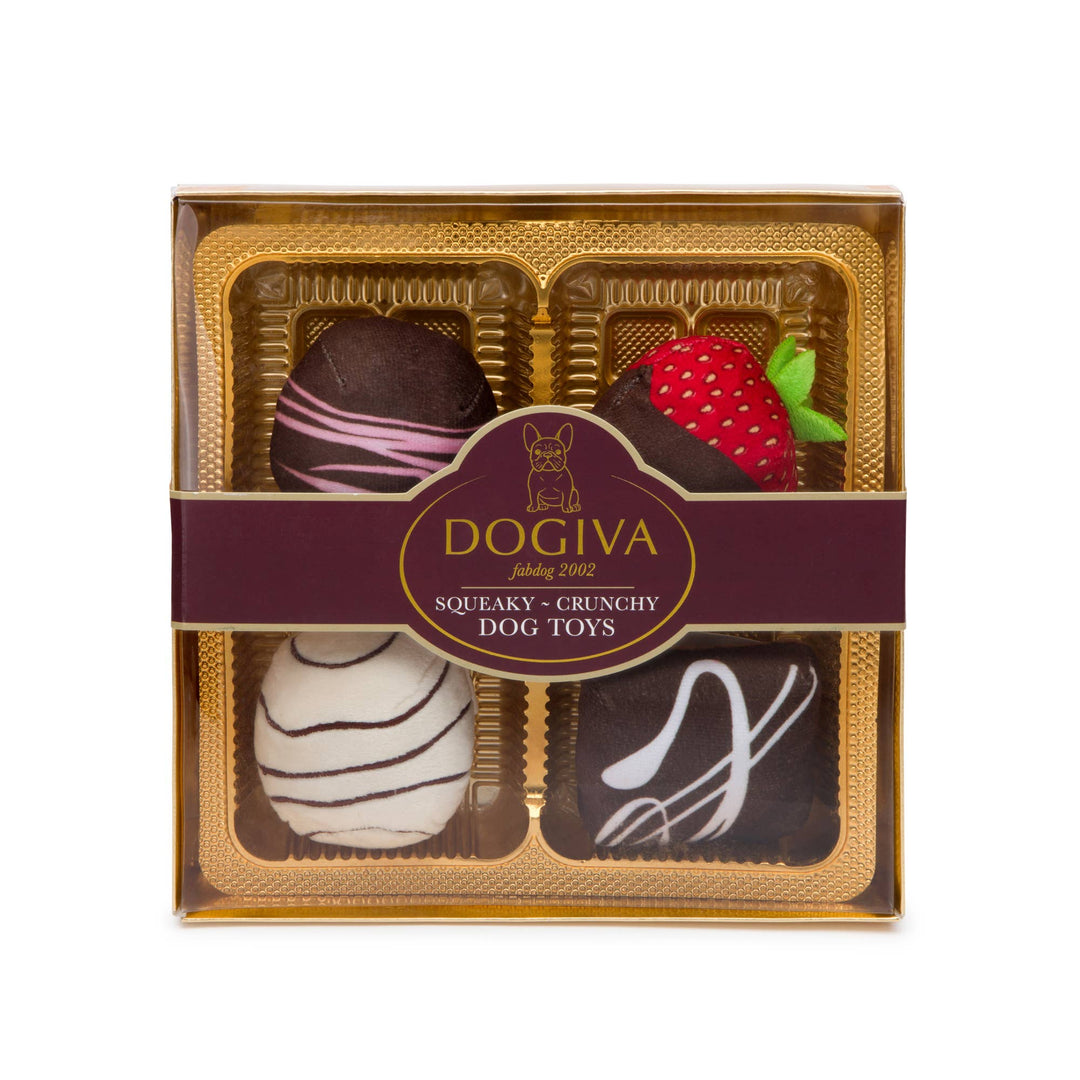 Fab Dog - Dogiva Box of Chocolates