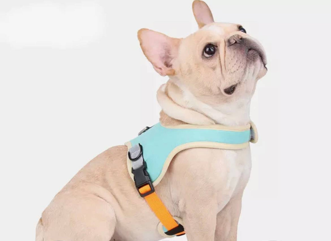 Frau Schnau - Dog Harness