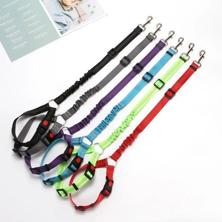 CarLeash - Adjustable Car Dog Leash