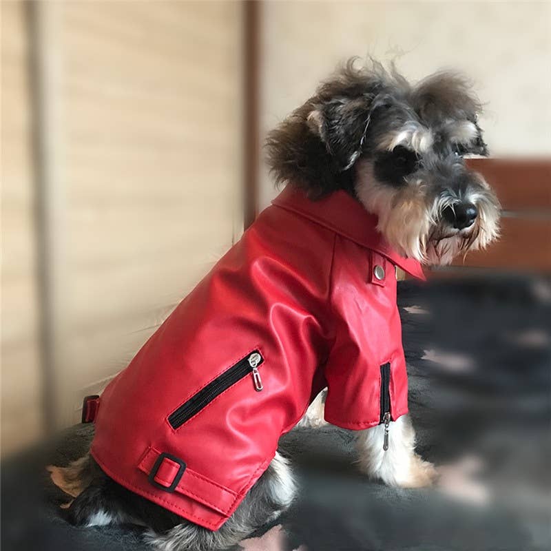 BARK by DOG - FASHION DOG JACKET