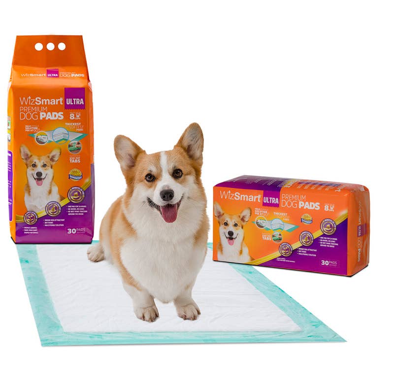 WizSmart by Petix - All-Day Dry Dog Pads - Ultra 30 Pack