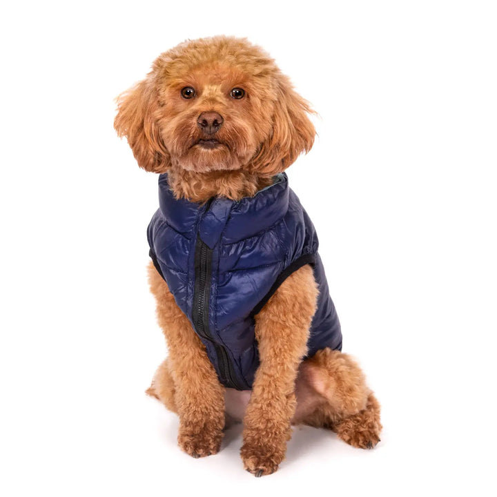 Fab Dog - Blue Combo Pack N Go Reversible Puffer