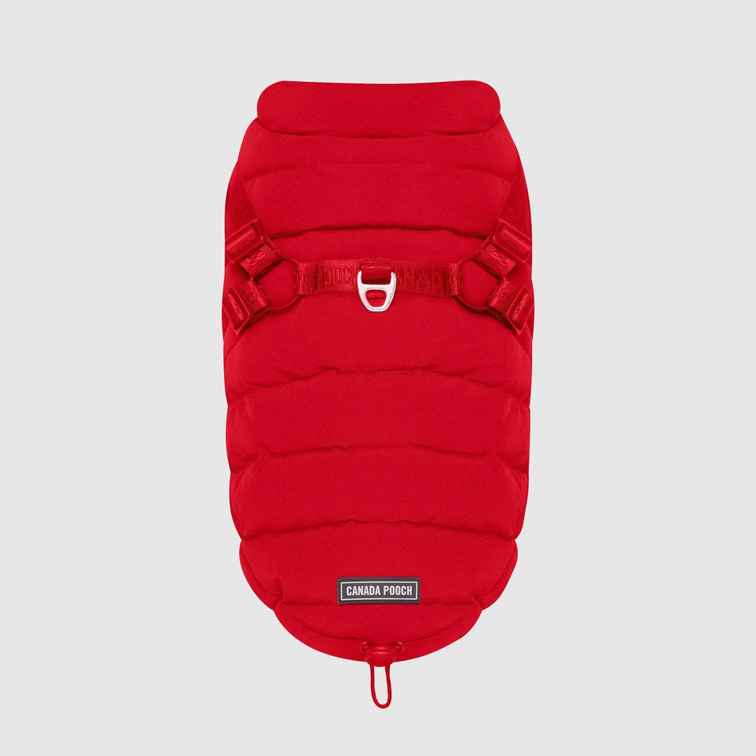 Canada Pooch - Harness Puffer Red