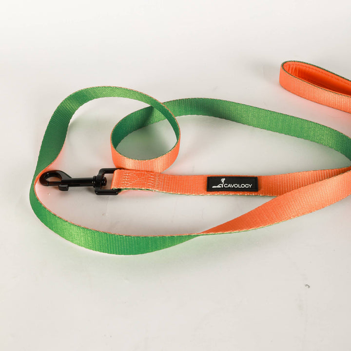 Cavology - DOG LEASH DOUBLE SIDED TWO TONED VINYL FALL ORANGE GREEN