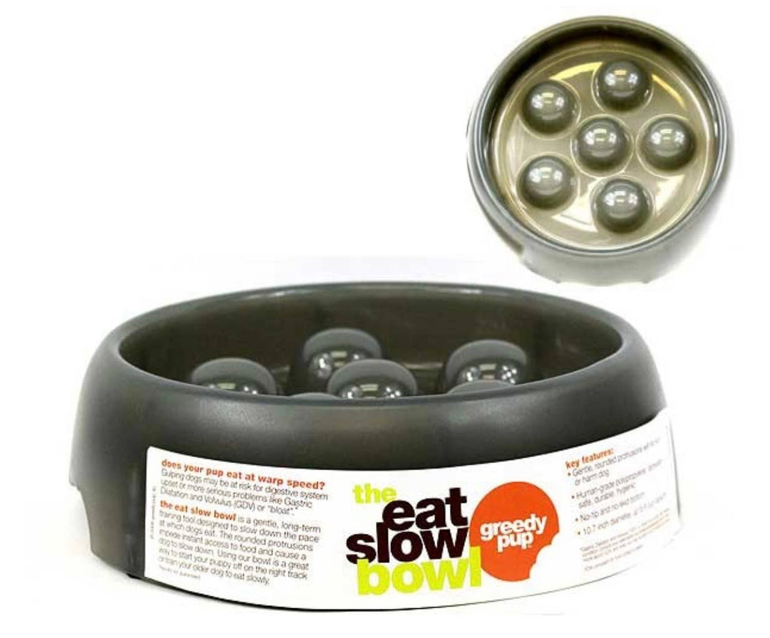 St. Louis Wholesale LLC - Eat Slow Greedy Pup Bowl- Heavyweight 10.6"