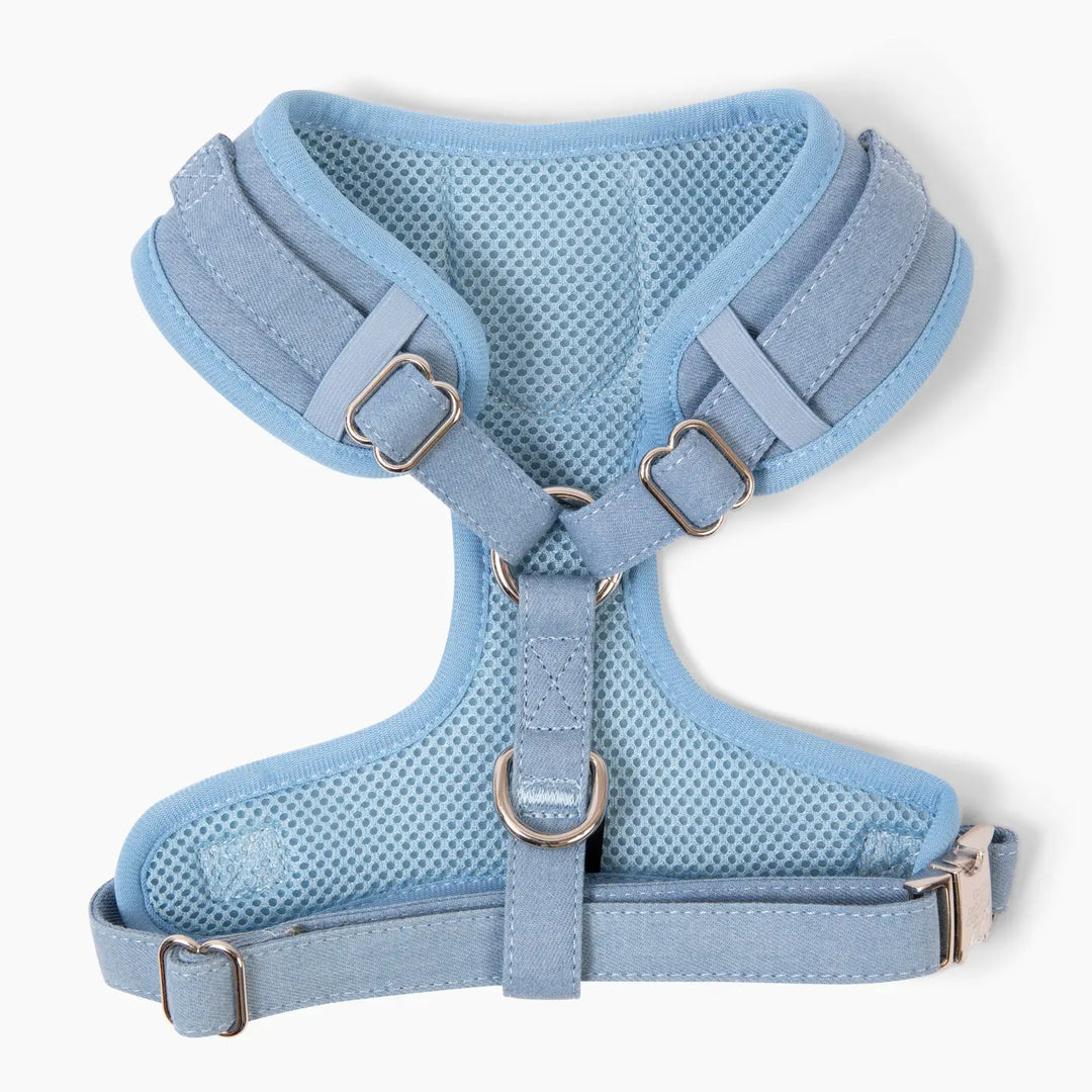 Doodle Couture, New York - Light Denim 6 Piece Puparazzi Gift Set