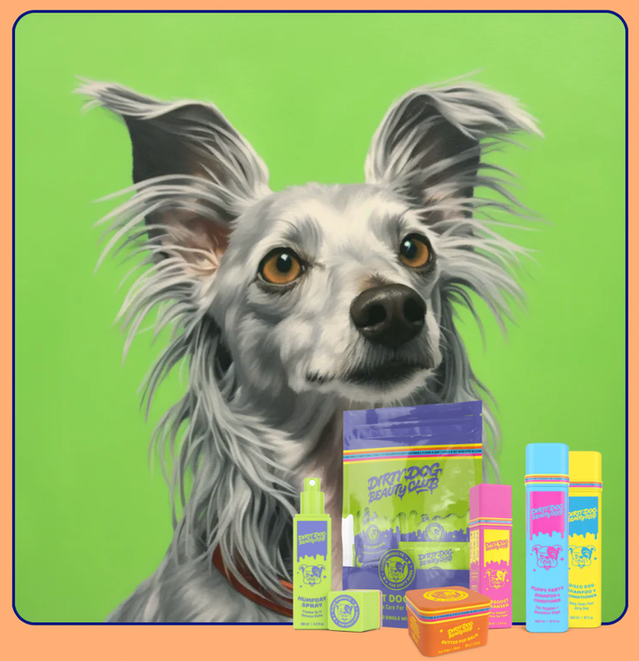 DIRTY DOG BEAUTY CLUB - STARTER PACK (1 time purchase)