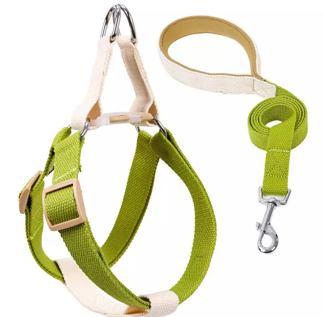 Frau Schnau - Canvas Dog Harness and leash